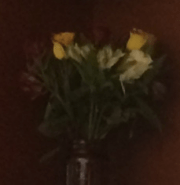 Screen Shot 2016-03-03 at 3.21.54 PM