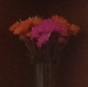 Screen Shot 2016-03-03 at 3.22.06 PM