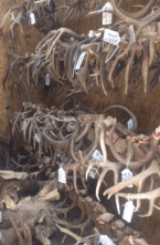 Screen Shot 2016-03-12 at 12.45.40 PM