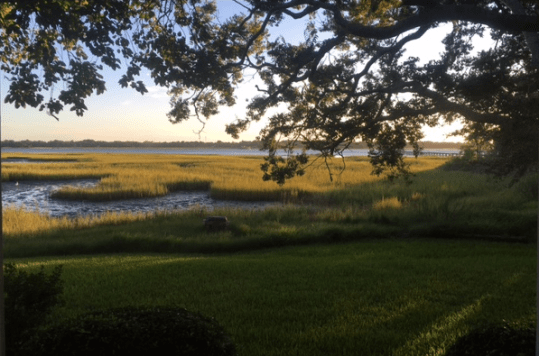 Screen Shot 2016-08-14 at 9.32.15 AM