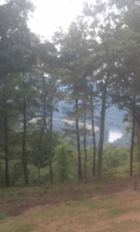 Screen Shot 2016-08-23 at 5.12.59 PM