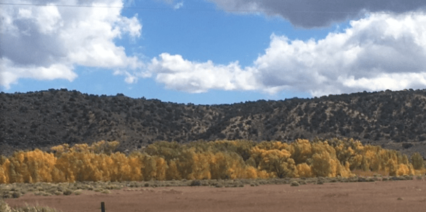 screen-shot-2016-10-03-at-7-15-29-pm