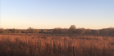 screen-shot-2016-11-18-at-7-18-22-am