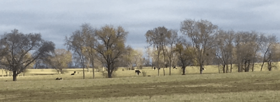 screen-shot-2016-12-06-at-6-39-41-pm