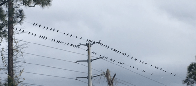 screen-shot-2016-12-29-at-8-34-23-am