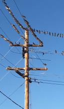 screen-shot-2016-12-29-at-8-35-22-am